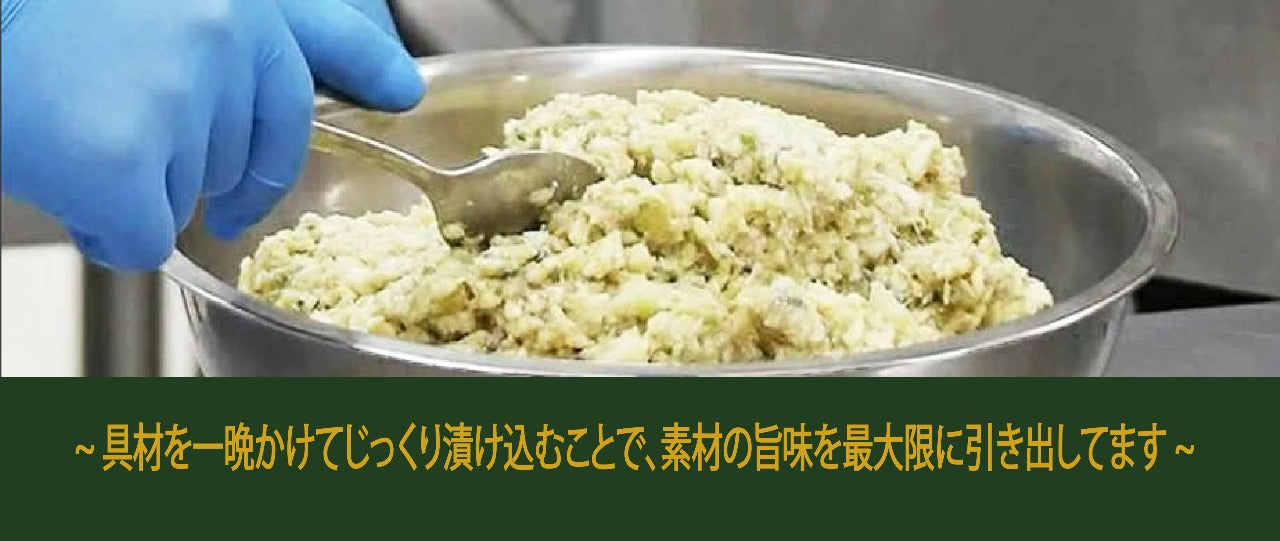 スパイス餃子（40個入り）